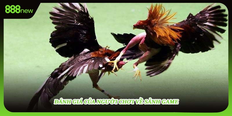 Đánh giá của người chơi về sảnh game